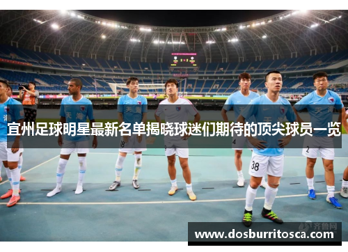 宜州足球明星最新名单揭晓球迷们期待的顶尖球员一览