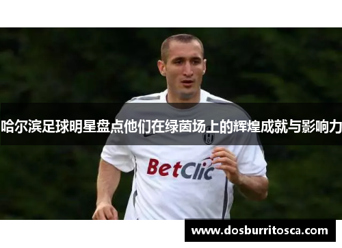 哈尔滨足球明星盘点他们在绿茵场上的辉煌成就与影响力