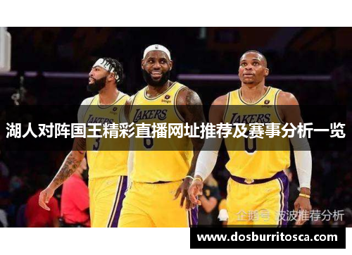 湖人对阵国王精彩直播网址推荐及赛事分析一览